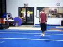 American Elite Gymnastics Coach Mike American Elite Gymnastics Coach Mike