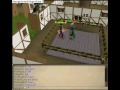 Runescape mini party for whitknight17