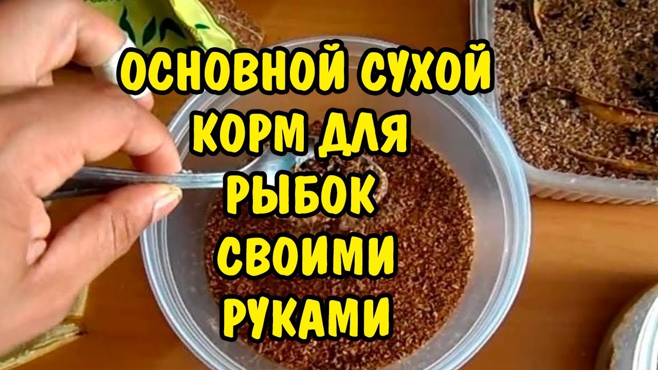 ОСНОВНОЙ КОРМ ДЛЯ АКВАРИУМНЫХ РЫБОК СВОИМИ РУКАМИ. FEED FOR FISH DIY