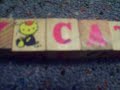 For FlippyCat