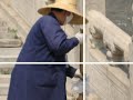 Memories of The Forbidden City Memories of The Forbidden City