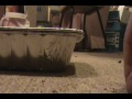 there's about five of these things hiding somewhere in the house. all of them work just fine, but nobody ever uses any of them. so, they just sit there, gathering dust. and, i mean, what a better way to clear some space than by destroying some of the things that are taking up the space.