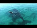 See Video