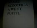 White puffle CP White puffle CP