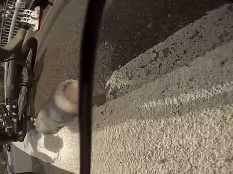 The Bush Capital: Roo v Cyclist 19 January 2015