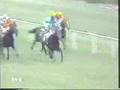 1984 (348) Premio ANTONIO BLASCO (Grupo I) (RODILES)