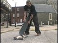 SKATING A DEAD CAT