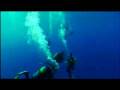 Sharks, Dolphins, Giant Mantas, Whales of Socorro Island