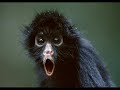2o Upload!Agapimeno kommati pou episis de to vrika sto Youtube se kali morfi!