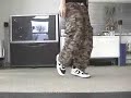 Cwalk tut (ClownWalk Tutorial)
