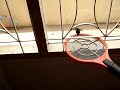 Biggest BEE I\