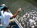 Castaic Bass Fishing (SoCal)