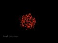Molten Planet Exploding Molten Planet Exploding