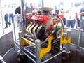 Bowtie 572 Big Block At Gator Nat`s