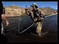 Fly fishing in Mongolia (DVD - trailer)
