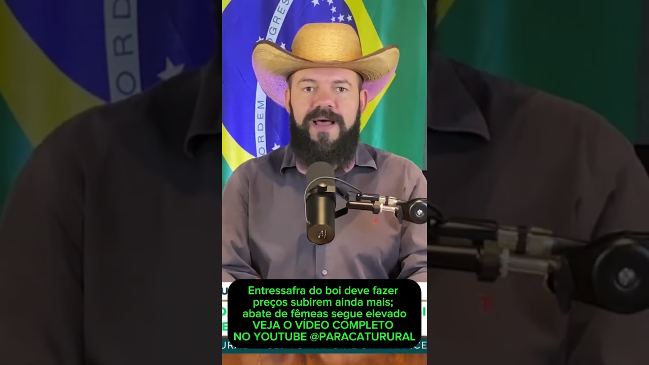 Entressafra do boi deve fazer preços subirem ainda mais; abate de fêmeas segue elevado.