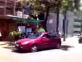 Funa a la Udi - No mas matanzas de animales 3