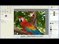 GIMP 2.8 Tutorial - Picture in a Picture