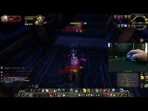 World of Warcraft Swifty Duelo contra Cazadores