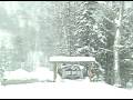 Mount Bohemia - A Backcountry Snowboarding Video