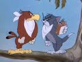 Tom Y Jerry - El Pajaro Enamorado