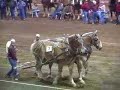 Draft Horse - Michigan Great Lakes International - MSU 2006