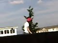 Mark skatin