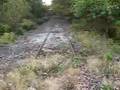 Train Heading to Mainline