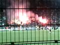 asse,fumis,GA