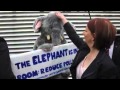 View Video