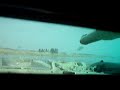 Tanks in action