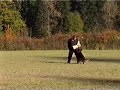 Schutzhund 2006 WKG SchH3 Regional Champion Schutzhund 2006 WKG SchH3 Regional Champion
