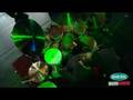 Ndugu Chancler: MD Fest 2008