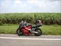 2004 CBR 600 F4i turning 200000 miles + brief history