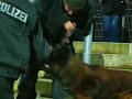 Kleve - RWO Gr�ne Hooligans mit ihren Pudeln