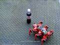 Hexapod Robot