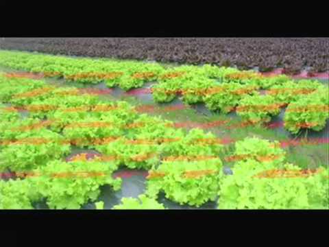 Image de prévisualisation YouTube