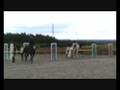 Bosley - 16th August - Newcomers.