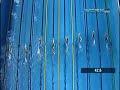 Pellegrini Breaks World Record in 200-meter Semifinal