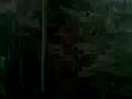 videos de my 18th