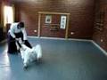 Aikido - Tanto dori - Kotegaeshi omote
