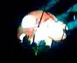 Roger Waters Bogota Concert - Sheep1