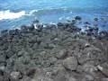 Omer Galapagos