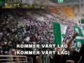 Fanan vår är grön och vit