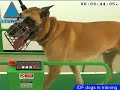 خمس دقائق بدون كلام