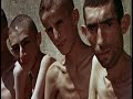 Auschwitz - La liberacion del campo (muy fuerte) Auschwitz - La liberacion del campo (muy fuerte)