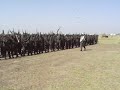SPLA JIU ABUSHOK Battalion