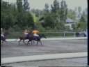 Horseball
