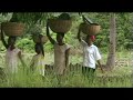 Haiti, Jacmel : Festival Film Jakmel 2004 Promo