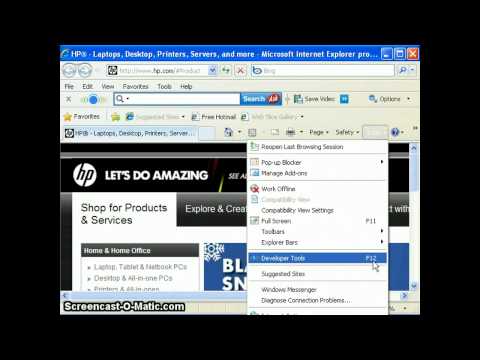 how to adjust ie view